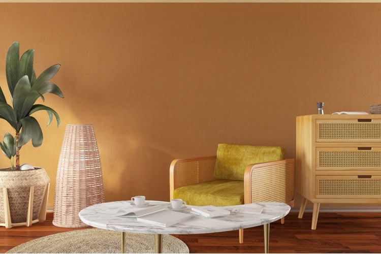 imagen-cuerpo imagen-cuerpo