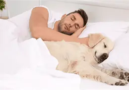 ¿Duermes con tu perro? estos son los riesgos reales para la salud que quizá no conocías