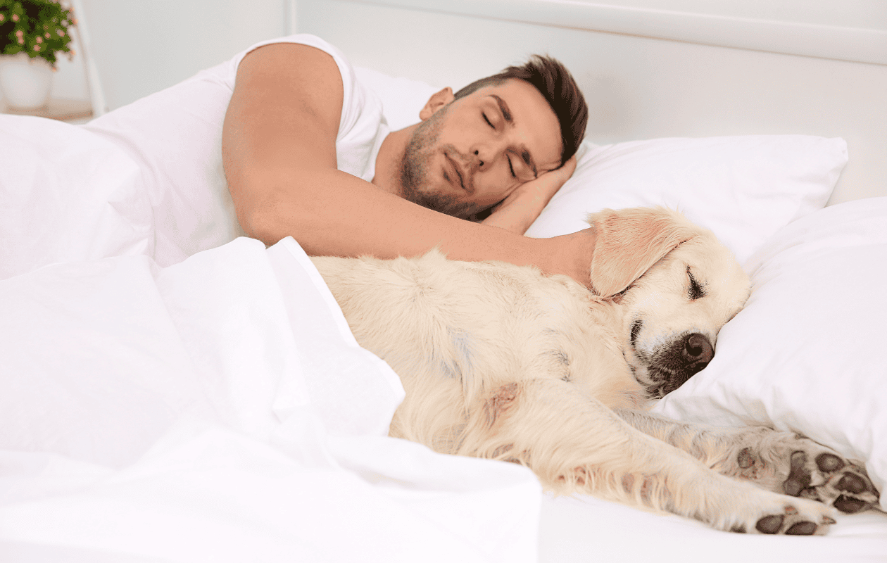 ¿Duermes con tu perro? estos son los riesgos reales para la salud que quizá no conocías
