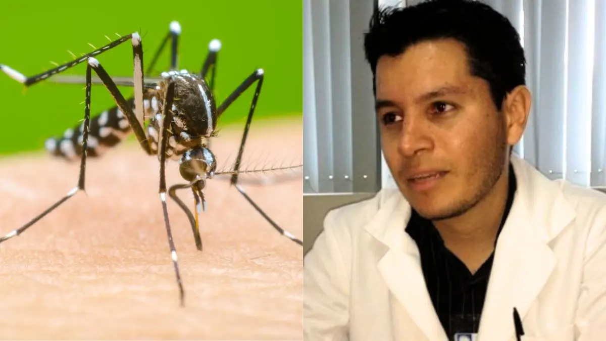 Aumentan los casos de dengue en Sonora y analizan muertes asociadas a la enfermedad