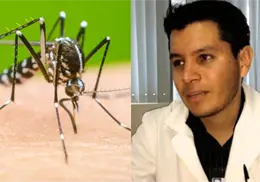 Aumentan los casos de dengue en Sonora y analizan muertes asociadas a la enfermedad Aumentan los casos de dengue en Sonora y analizan muertes asociadas a la enfermedad