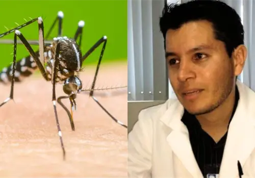Aumentan los casos de dengue en Sonora y analizan muertes asociadas a la enfermedad