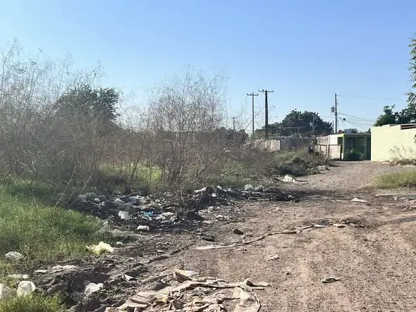 Hay vialidades intransitables por basura y maleza en Cajeme