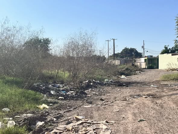 Hay vialidades intransitables por basura y maleza en Cajeme