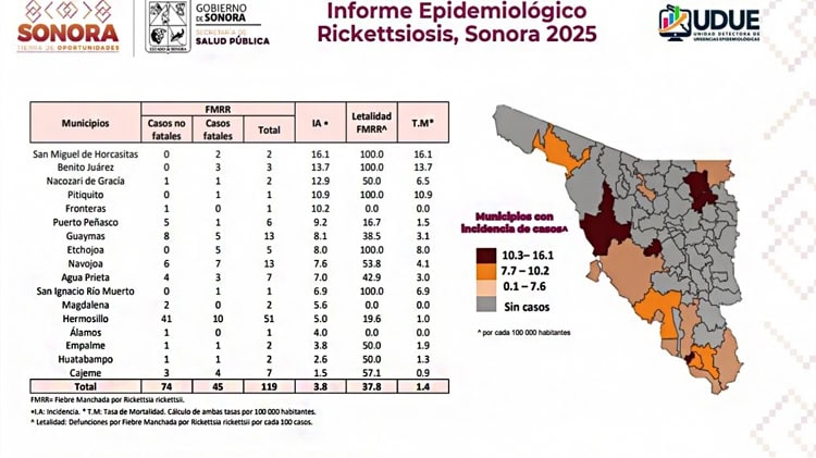 imagen-cuerpo imagen-cuerpo
