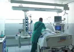 Registra Sonora 3 nuevas muertes por rickettsia Registra Sonora 3 nuevas muertes por rickettsia