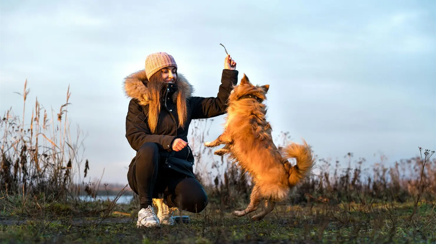 ¿Tu perro es tu reflejo? Esto dice la psicología sobre las actitudes compartidas entre mascota y dueño