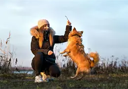 ¿Tu perro es tu reflejo? Esto dice la psicología sobre las actitudes compartidas entre mascota y dueño