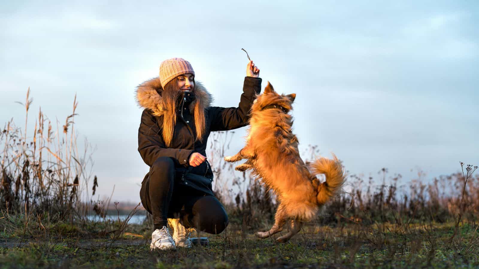 ¿Tu perro es tu reflejo? Esto dice la psicología sobre las actitudes compartidas entre mascota y dueño