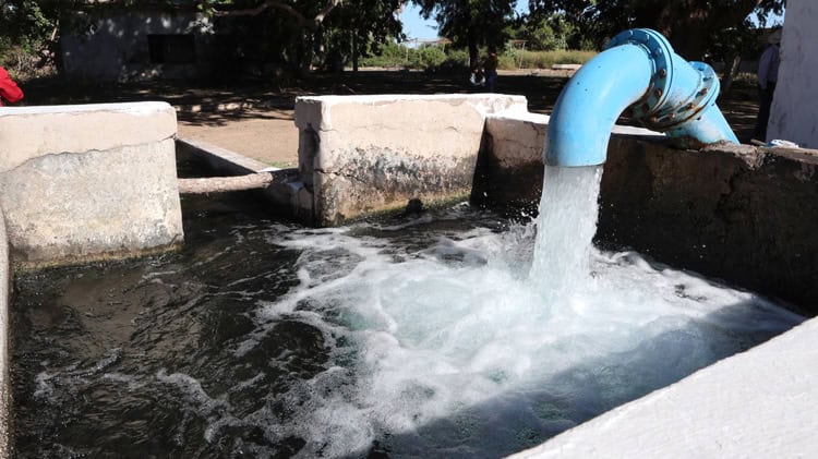 imagen-cuerpo imagen-cuerpo