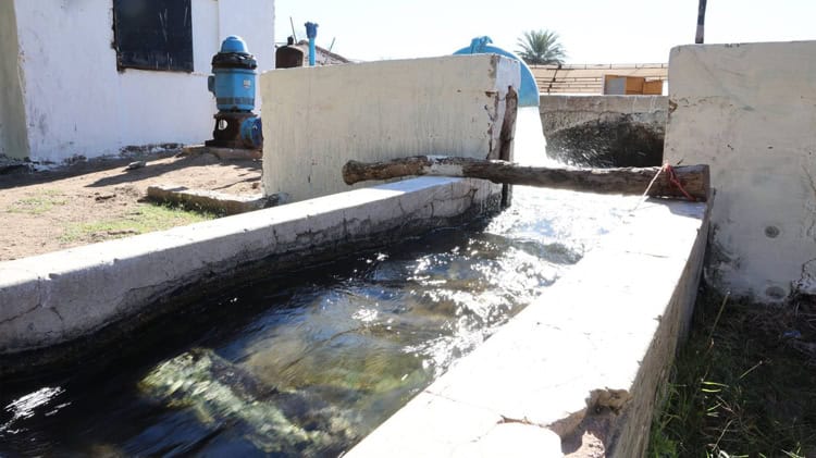 imagen-cuerpo imagen-cuerpo