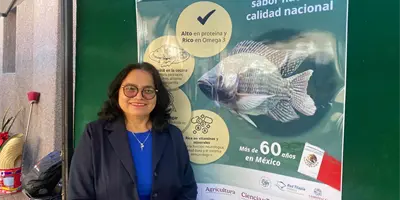 Sonora ocupa el cuarto lugar en consumo de tilapia