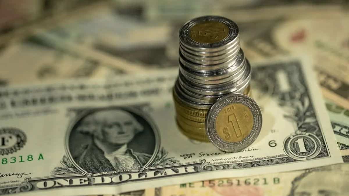 Precio del dólar hoy domingo 23 de noviembre: Peso baja tras caída del PIB mexicano