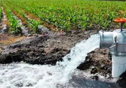 Reforma a la Ley de Aguas Nacionales: ¿Cómo afecta a agricultores y usuarios de pozos en México?