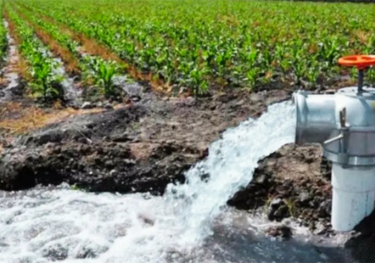 Reforma a la Ley de Aguas Nacionales: ¿Cómo afecta a agricultores y usuarios de pozos en México?