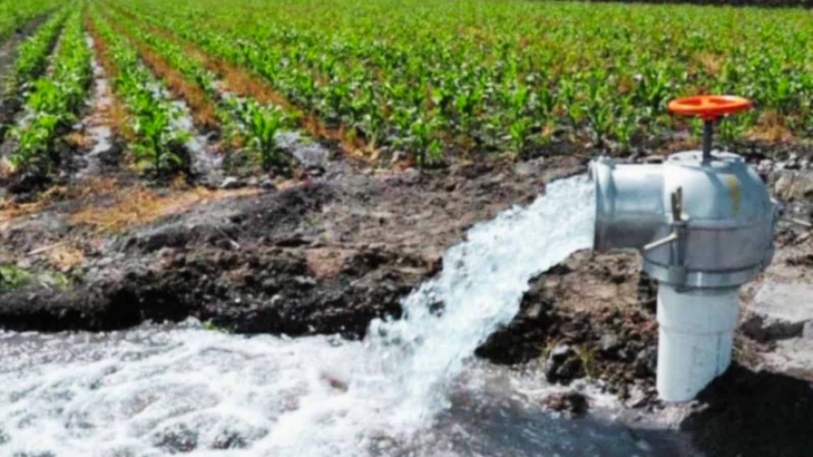 Reforma a la Ley de Aguas Nacionales: ¿Cómo afecta a agricultores y usuarios de pozos en México?