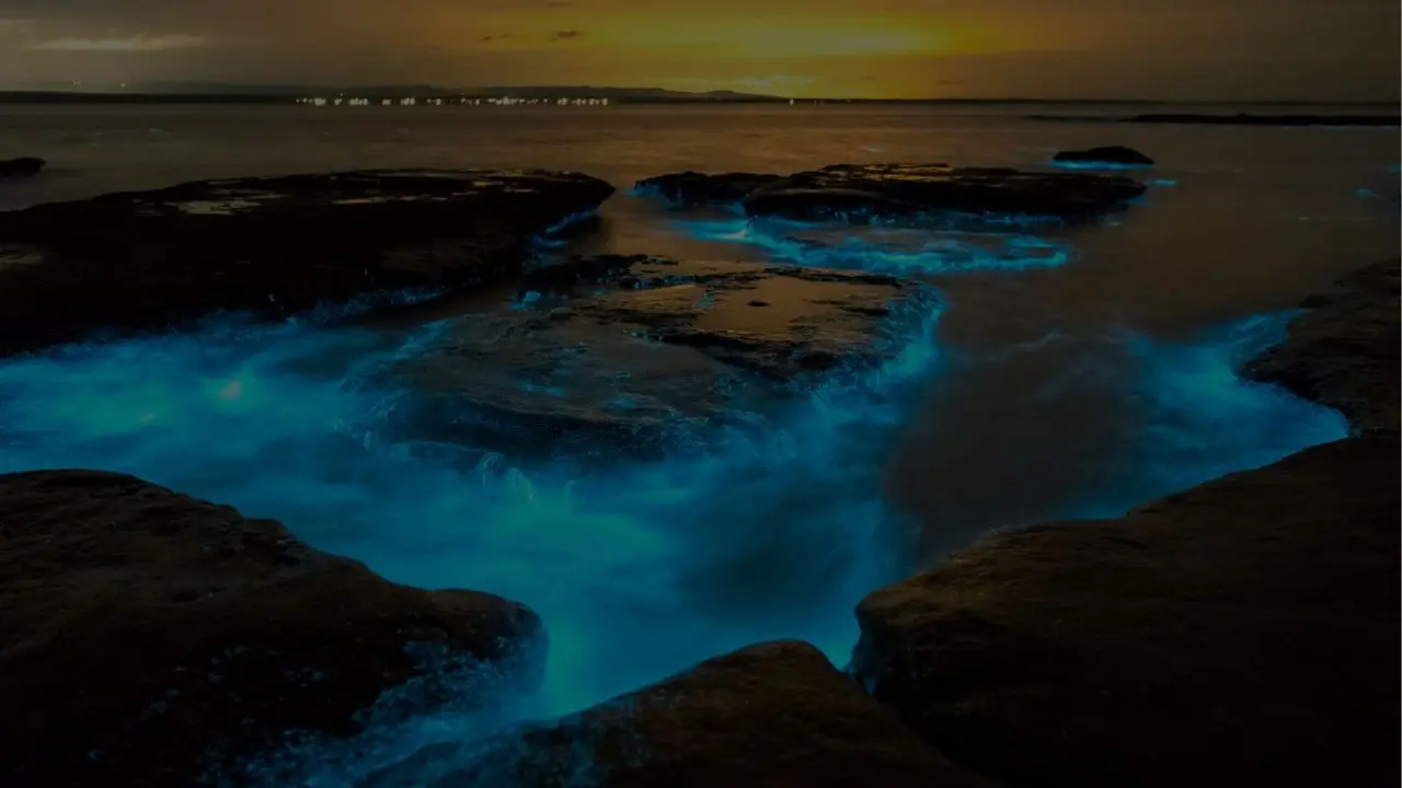 México tiene varios de los mejores escenarios del planeta para vivir este espectáculo completamente en vivo.