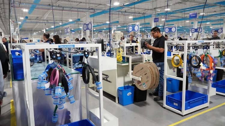 imagen-cuerpo imagen-cuerpo