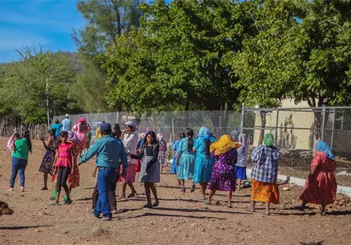 Migran guarijíos por falta de empleo