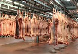 México suspende importación de productos de cerdo desde España tras detección de peste porcina