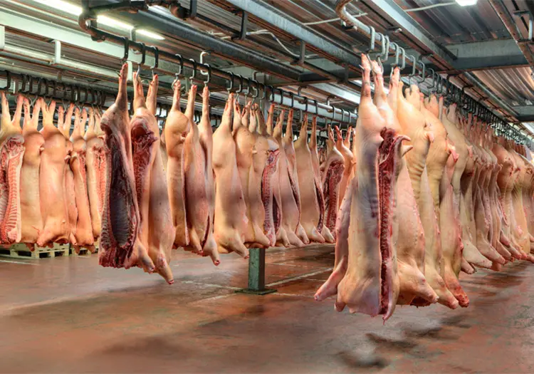 México suspende importación de productos de cerdo desde España tras detección de peste porcina