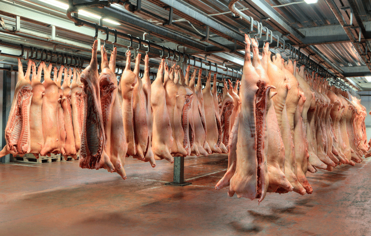 México suspende importación de productos de cerdo desde España tras detección de peste porcina