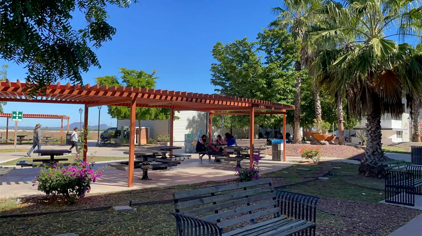 Los estudiantes de la Unison se acercaron a solicitar las pruebas rápidas de diferentes enfermedades de transmisión sexual y para recibir preservativos e información