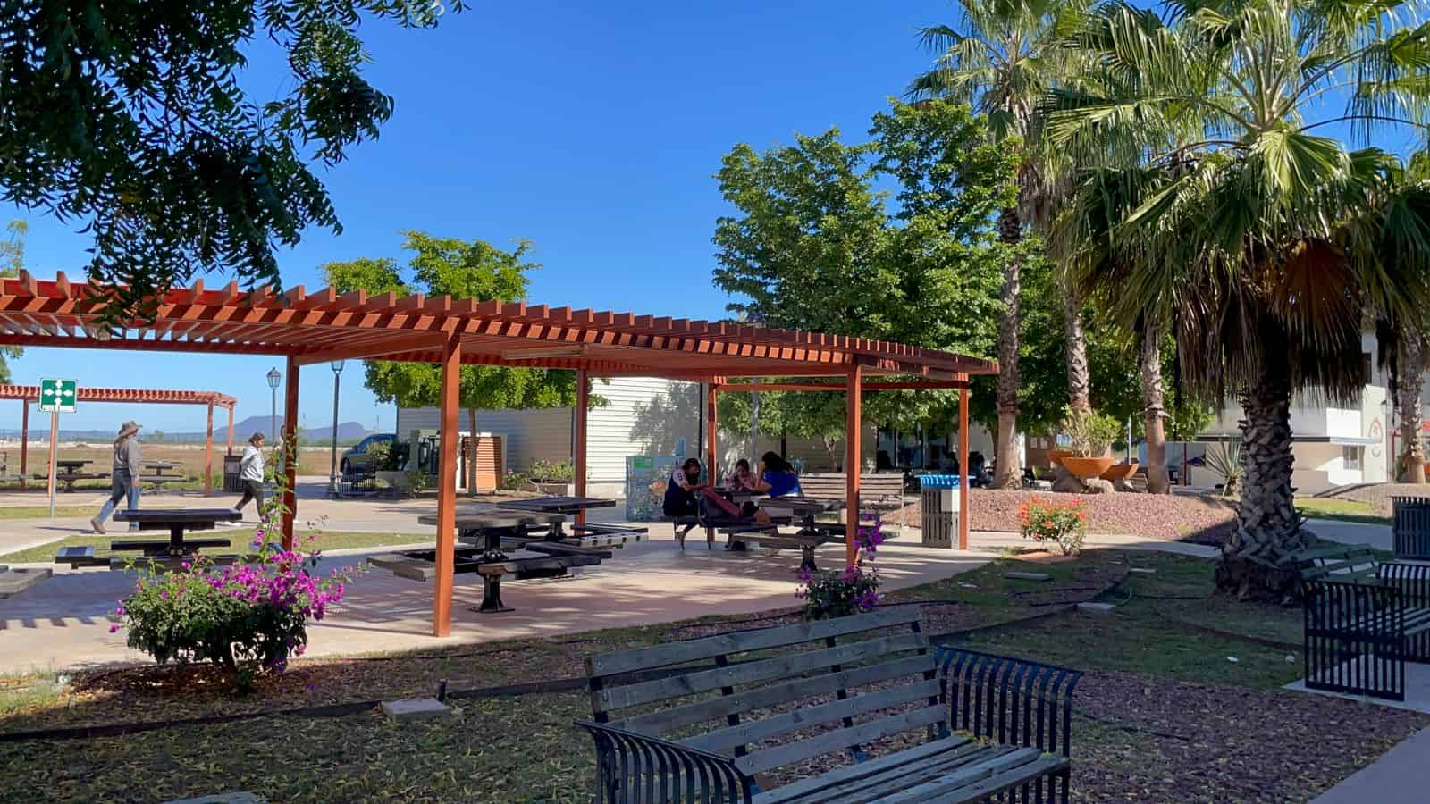 Demanda de taxis aumenta hasta 80% en el centro de Obregón por llegada de visitantes