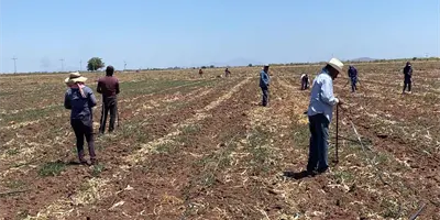 Esperan jornaleros salir del desempleo