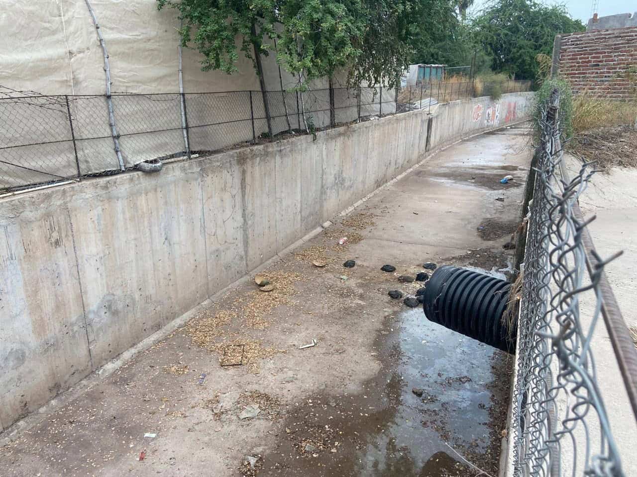 Propone regidora continuidad del Arroyo Sonora