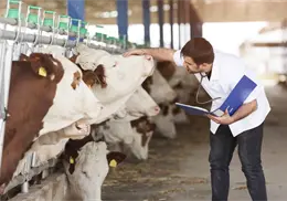 Sader activa protocolo nacional contra gusano barrenador Sader activa protocolo nacional contra gusano barrenador