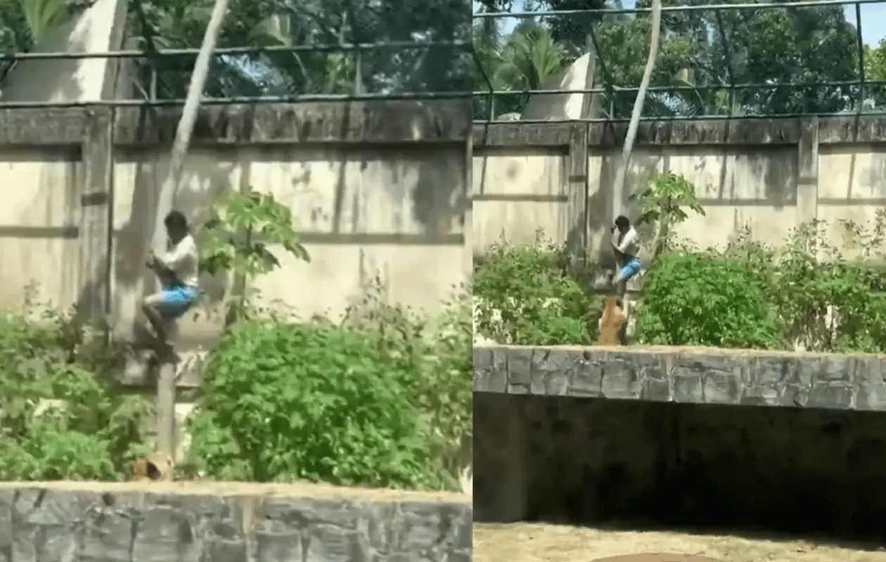 Testigos relataron que varios intentaron detenerlo.