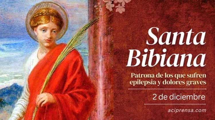 imagen-cuerpo imagen-cuerpo