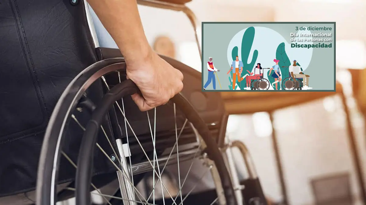 Día internacional de las Personas con Discapacidad.