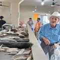Bajan ventas de pescados y mariscos en Cajeme Bajan ventas de pescados y mariscos en Cajeme