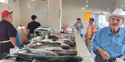 Bajan ventas de pescados y mariscos en Cajeme Bajan ventas de pescados y mariscos en Cajeme