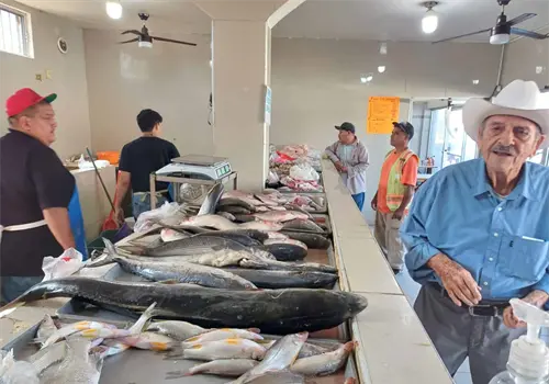 Bajan ventas de pescados y mariscos en Cajeme