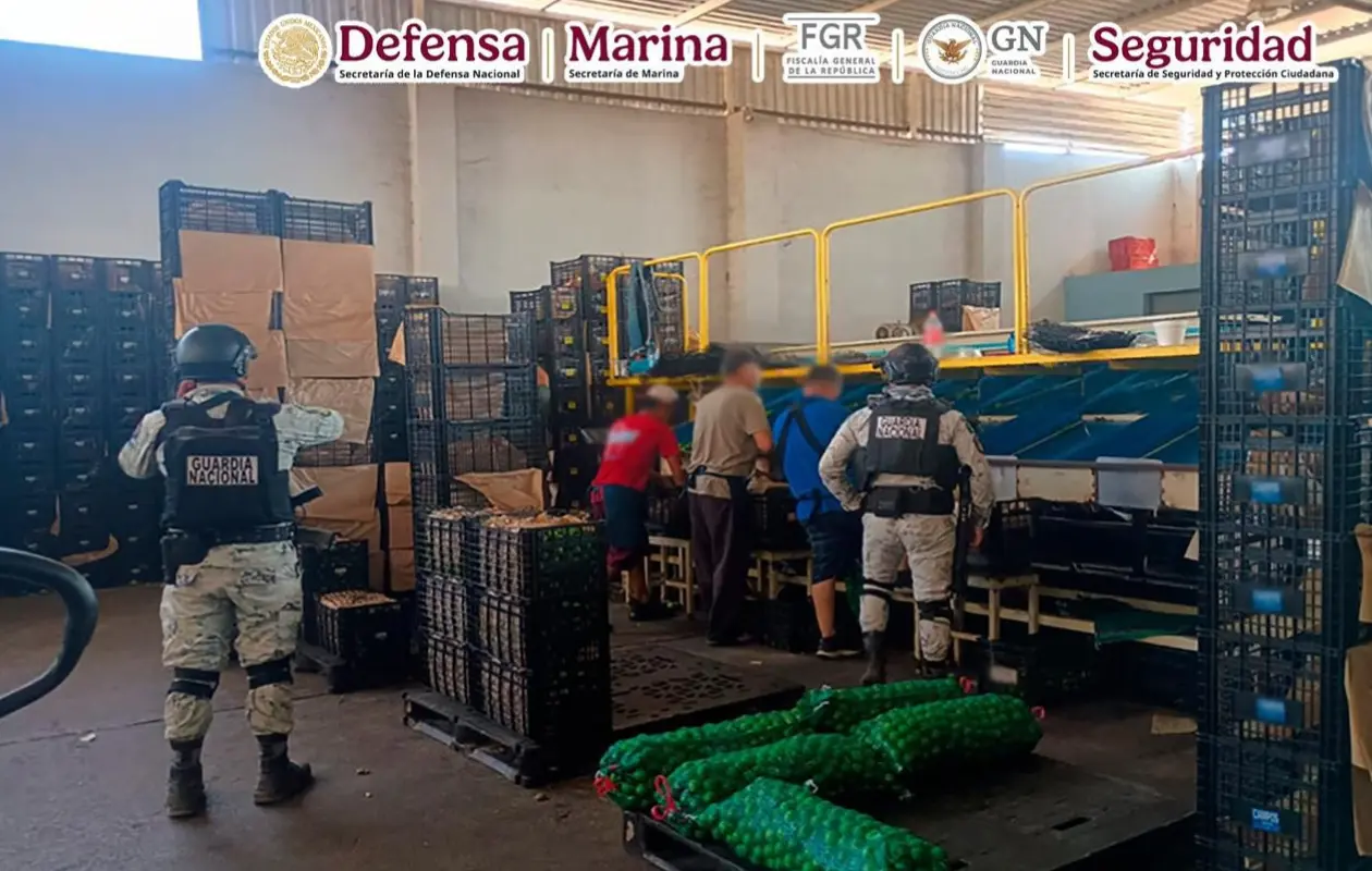 La estrategia federal se ha implementado tras el asesinato de Carlos Manzo.