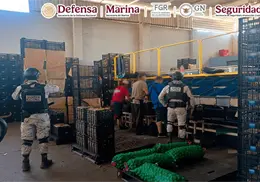 Detienen a 10 personas en Michoacán con armas y droga durante operativo