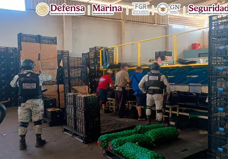 Detienen a 10 personas en Michoacán con armas y droga durante operativo