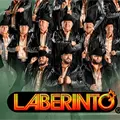 ¿Quién puede ser la nueva voz de Grupo Laberinto?