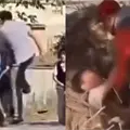 VIDEO | ¿Bien o mal? Padre de familia interviene para salvar a su hijo de un golpeador afuera de su secundaria