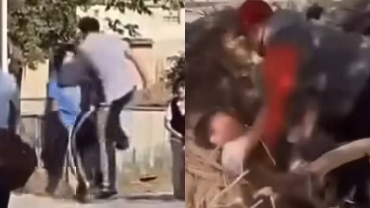 VIDEO | ¿Bien o mal? Padre de familia interviene para salvar a su hijo de un golpeador afuera de su secundaria