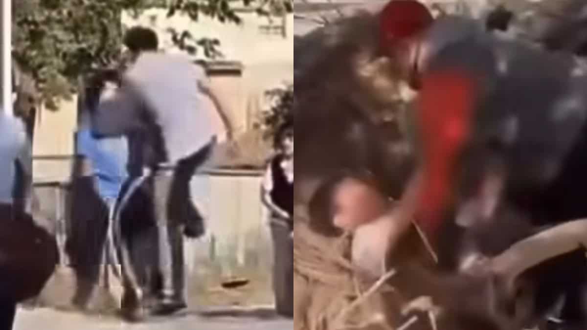 VIDEO | ¿Bien o mal? Padre de familia interviene para salvar a su hijo de un golpeador afuera de su secundaria