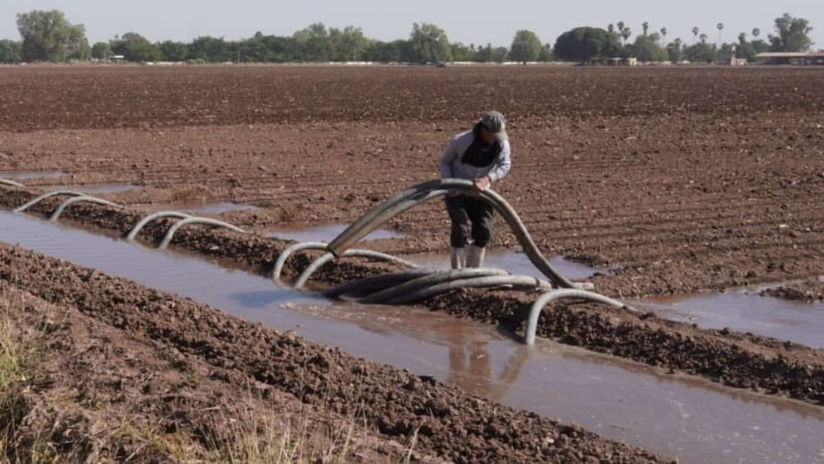 Productores rechazan nueva Ley de Aguas
