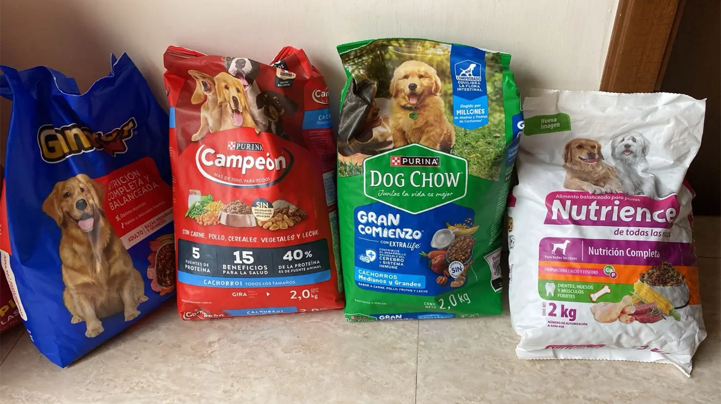 Entre Canes realizar&aacute; Croquet&oacute;n Navide&ntilde;o 2025