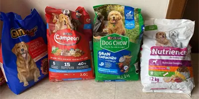 Entre Canes realizará Croquetón Navideño 2025 Entre Canes realizará Croquetón Navideño 2025