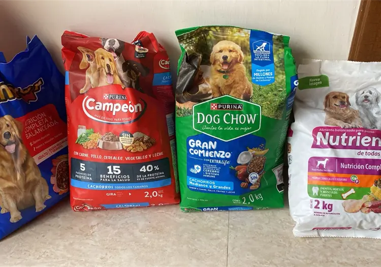 Entre Canes realizará Croquetón Navideño 2025