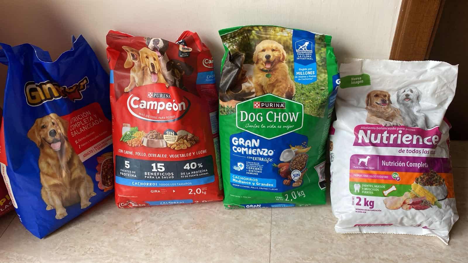 Entre Canes realizará Croquetón Navideño 2025