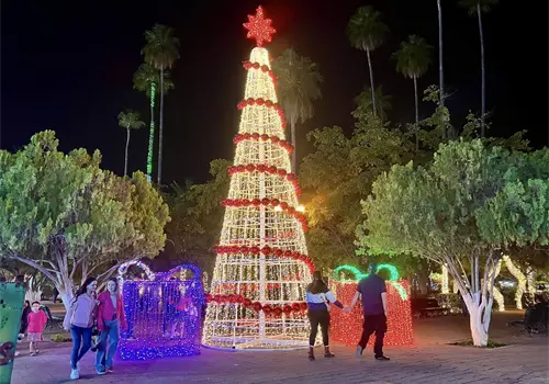 Turismo se mantiene fuerte en Álamos este diciembre Turismo se mantiene fuerte en Álamos este diciembre
